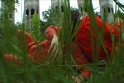 The Body Cartography Project: Plant